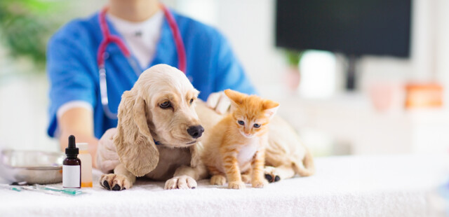 Veterinari